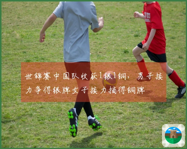 世锦赛中国队收获1银1铜，男子接力争得银牌女子接力摘得铜牌