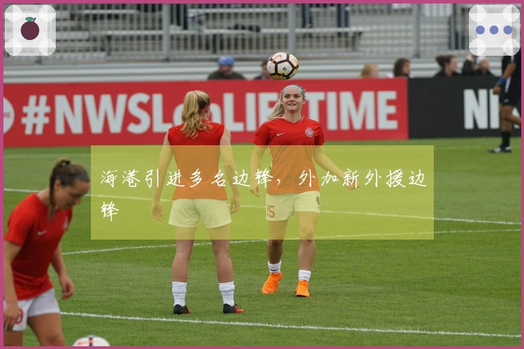 海港引进多名边锋，外加新外援边锋